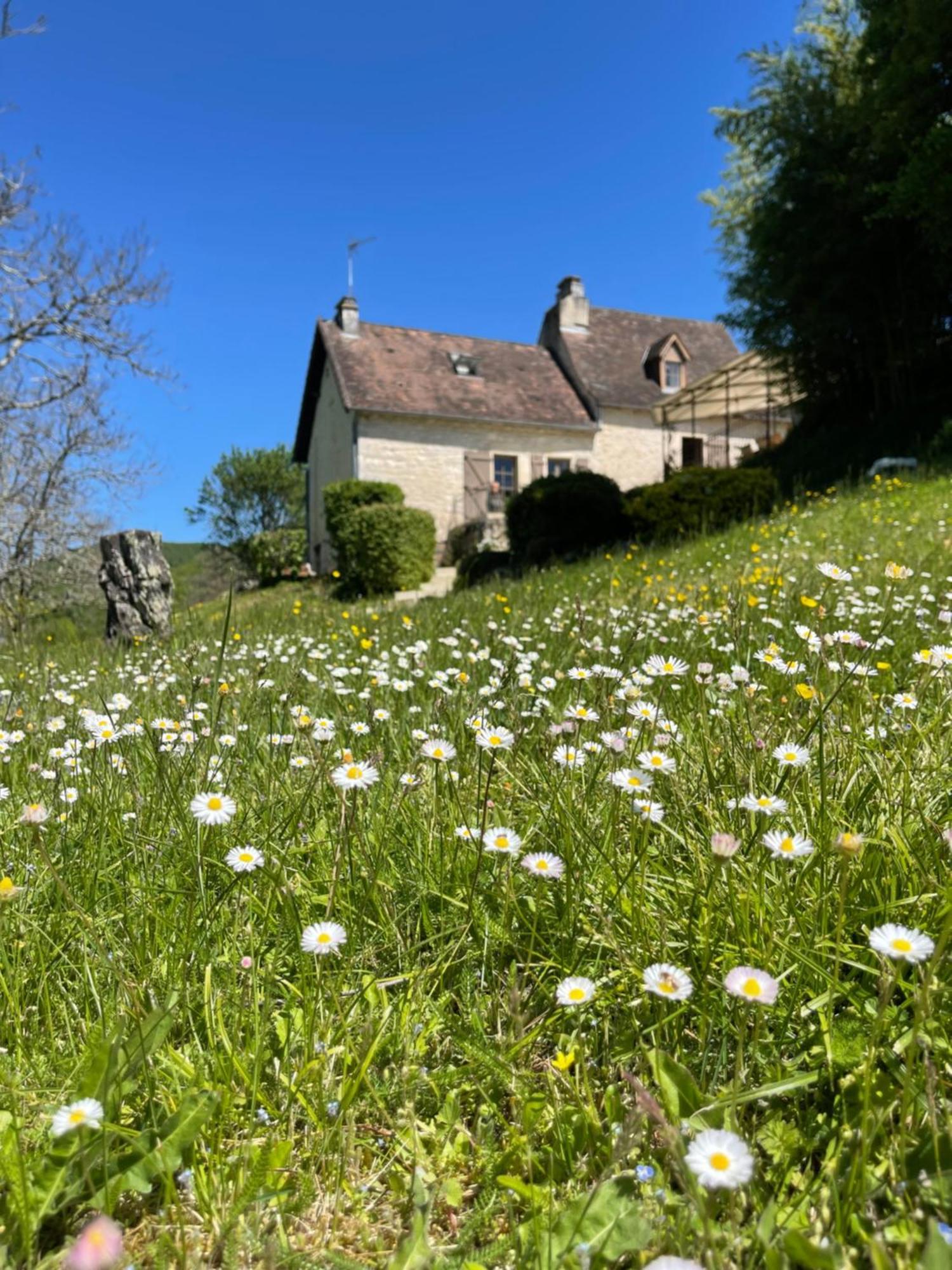 Domaine Du Bonheur En Pierre Avec Piscine, Proche Sarlat Villa Carlux Buitenkant foto